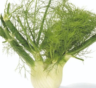 Фенхель эфирное масло 10мл. фото 4